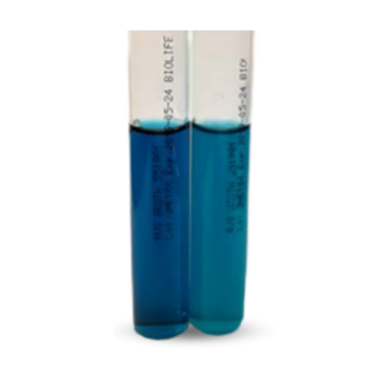 RAPPAPORT VASSILIADIS (RV) BROTH