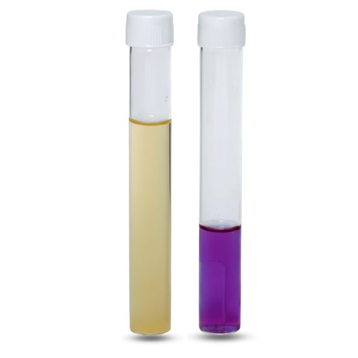 MAC CONKEY BROTH (PURPLE) - Cornell Lab